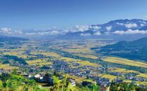 【定期便令和7年産】関智晴がつくる南魚沼塩沢産コシヒカリ５kg×全12回&nbsp;減農薬栽培米