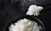 【定期便令和7年産】関智晴がつくる南魚沼塩沢産コシヒカリ&nbsp;10kg×全12回&nbsp;減農薬栽培米