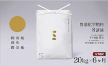 【定期便令和7年産】関智晴がつくる南魚沼塩沢産コシヒカリ&nbsp;20kg×全6回&nbsp;減農薬栽培米【2025年9月中旬より順次発送予定】
