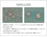 信楽焼 11号はけ目水鉢 メダカ鉢 金魚鉢