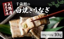 鹿児島県大隅産　千歳鰻の白焼鰻　10尾