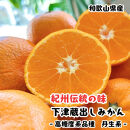 ［紀州伝統の味］下津蔵出し&nbsp;みかん（高糖系品種&nbsp;丹生系）&nbsp;5kg&nbsp;&nbsp;［S～L混合サイズ］［先行予約］