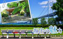 【ギフト用】有機柿茶&nbsp;１L用4g×84包入り