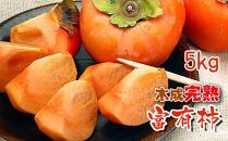 一度は食べたい香川産の完熟富有柿の詰め合わせ5kg