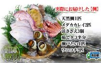 【定期便4回】創業100年の魚屋さんが選び抜いた旨い鮮魚直送便～