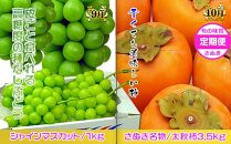 坂出産のフルーツとさぬきの特産品の定期便6回【Bコース】