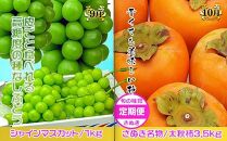 坂出産のフルーツとさぬきの特産品の定期便7回【Aコース】