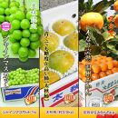 坂出産のフルーツとさぬきの特産品の定期便9回【Aコース】