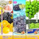 坂出産のフルーツとさぬきの特産品の定期便12回【Cコース】