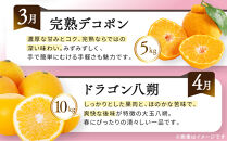 《特選プラチナコース》産直あきんど厳選フルーツ！魅惑の12回便