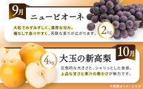 《特選プラチナコース》産直あきんど厳選フルーツ！魅惑の12回便