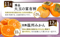 《特選プラチナコース》産直あきんど厳選フルーツ！魅惑の12回便