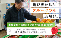 《特選プラチナコース》産直あきんど厳選フルーツ！魅惑の12回便