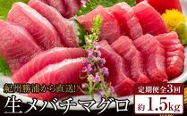 【定期便全3回】生まぐろの本場紀州勝浦から直送！　生メバチマグロ 約1.5kg（1カ月に1回お届け）（全3ヵ月）