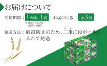 【定期便3回】アサヒ　スタイルフリー〈生〉350ml　24本　2ケース