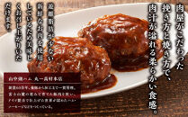 肉屋の焼ハンバーグ&nbsp;デミソース入り&nbsp;20個（1パック2個&nbsp;×&nbsp;10パック）合計2.2kg&nbsp;｜&nbsp;富士河口湖町&nbsp;ジューシー合挽きパティ&nbsp;肉汁豊富&nbsp;冷凍惣菜&nbsp;食卓向け&nbsp;簡単調理&nbsp;人気&nbsp;おすすめ&nbsp;グルメ&nbsp;惣菜セット&nbsp;合挽きミンチ&nbsp;焼き調理時短&nbsp;家族向け&nbsp;ディナー&nbsp;国産素材&nbsp;食品ギフト&nbsp;お取り寄せ&nbsp;通販&nbsp;送料無料&nbsp;ふるさと納税