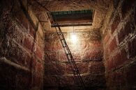 ルミエール　ワイン定期便  ハーフコース