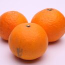 ＜4月より発送＞厳選きよみオレンジ4.5kg+135g（傷み補償分）【光センサー食頃出荷】【樹上完熟清見オレンジ・清見タンゴール・清美】