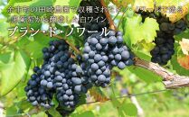 【北海道ワイン】 田崎ヴィンヤード ピノ・ノワール ブラン・ド・ノワール2021【ポイント交換専用】