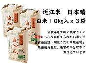 【2022年産】近江米 日本晴れ（白米）30kg：10kg×3袋【ポイント交換専用】