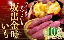 ＜2026年8月下旬以降発送・先行予約＞ホクホク系さつまいも「坂出金時いも」約5kg×2箱　2L～Mサイズ&nbsp;|&nbsp;さつまいも&nbsp;芋&nbsp;サツマイモ&nbsp;いも&nbsp;坂出金時いも&nbsp;金時いも&nbsp;金時&nbsp;焼き芋&nbsp;ホクホク&nbsp;ホクホク系&nbsp;先行予約&nbsp;人気&nbsp;おすすめ&nbsp;香川県&nbsp;坂出市