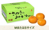 坂出市産「さぬきのみかん」&nbsp;約5.6kg（約2.8kg×2箱）