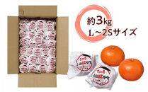 越冬完熟みかん（小原紅早生）約3kg｜フルーツ&nbsp;果物&nbsp;くだもの&nbsp;蜜柑&nbsp;みかん&nbsp;早生&nbsp;食品&nbsp;さぬき&nbsp;坂出市&nbsp;人気&nbsp;おすすめ&nbsp;送料無料