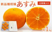 新品種柑橘「あすみ」約1kg 化粧箱入り