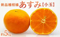 新品種柑橘「あすみ」小玉 約5kg