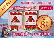 先行予約『近江富士いちご』選りすぐり！華の美味しいイチゴ定期便【9~15粒2トレイ×4回】