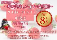 先行予約『近江富士いちご』選りすぐり！華の美味しいイチゴ定期便【9~15粒2トレイ×4回】