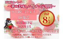 『近江富士いちご』選りすぐり！華の美味しいイチゴ定期便【9～15粒2トレイ×4回】