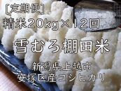 雪むろ棚田米コシヒカリ20kg精白米[定期便]毎月発送(計12回)
