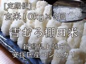 雪むろ棚田米コシヒカリ10kg玄米[定期便]毎月発送(計3回)