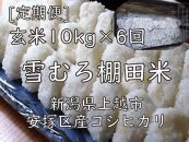 雪むろ棚田米コシヒカリ10kg玄米[定期便]毎月発送(計6回)