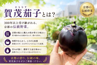 【先行予約・2026年7月発送】夏の京野菜「3種セット」賀茂茄子・万願寺とうがらし・伏見とうがらし&nbsp;|京都&nbsp;野菜&nbsp;人気セット［&nbsp;京都&nbsp;野菜&nbsp;ご当地&nbsp;人気&nbsp;おすすめ&nbsp;定番&nbsp;セット&nbsp;おいしい&nbsp;ご自宅用&nbsp;お取り寄せ&nbsp;通販&nbsp;送料無料&nbsp;ふるさと納税&nbsp;］