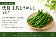 【先行予約・2026年7月発送】夏の京野菜「3種セット」賀茂茄子・万願寺とうがらし・伏見とうがらし&nbsp;|京都&nbsp;野菜&nbsp;人気セット［&nbsp;京都&nbsp;野菜&nbsp;ご当地&nbsp;人気&nbsp;おすすめ&nbsp;定番&nbsp;セット&nbsp;おいしい&nbsp;ご自宅用&nbsp;お取り寄せ&nbsp;通販&nbsp;送料無料&nbsp;ふるさと納税&nbsp;］