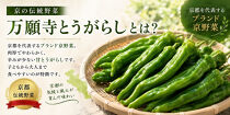 【先行予約・2026年7月発送】夏の京野菜「3種セット」賀茂茄子・万願寺とうがらし・伏見とうがらし&nbsp;|京都&nbsp;野菜&nbsp;人気セット［&nbsp;京都&nbsp;野菜&nbsp;ご当地&nbsp;人気&nbsp;おすすめ&nbsp;定番&nbsp;セット&nbsp;おいしい&nbsp;ご自宅用&nbsp;お取り寄せ&nbsp;通販&nbsp;送料無料&nbsp;ふるさと納税&nbsp;］