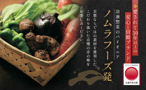 【京菜味のむら】惣菜10品セット(10種・10袋)［ 京都 京料理 おばんざい お惣菜 人気 おすすめ グルメ 惣菜 簡単 時短 お取り寄せ 通販 送料無料 ふるさと納税 ］