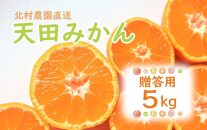 先行予約【2024年12月上旬より発送】濃厚温州みかん贈答用5kg（和歌山天田みかん）みかんの産地和歌山　北村農園直送