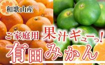 家庭用 有田みかん5kg+250g（傷み補償分）［2025年10月上旬から2026年1月下旬頃順次発送予定］［IKE247］