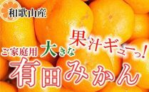 家庭用 大きな有田みかん2.5kg+250g（傷み補償分）［2025年11月中旬から2026年1月下旬頃順次発送予定］［IKE222］