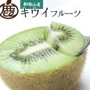 ［先行予約］厳選&nbsp;キウイ1kg+250g（傷み補償分）【扁平果】［IKE106］