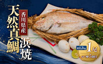 天然真鯛の浜焼　１尾（6～7人前）