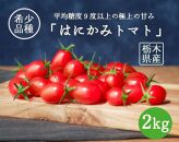 2022年10月から発送【はにかみトマト】平均９度以上の高糖度！希少な品種のフルーツトマト 2kg
