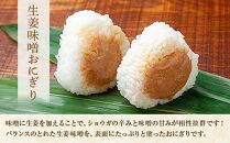 (M-26)おにぎり コシヒカリ 生姜味噌 80g×計6個 魚沼産 味噌 みそ 生姜 しょうが ショウガ おむすび 冷凍 こしひかり ごはん ご飯 冷凍保存 新潟県産 魚沼 国産 おやつ 夜食 精米 米 お米 こめ コメ めし徳 新潟県 南魚沼市