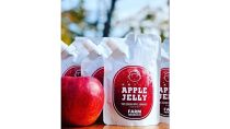農家直送！ 完熟100％りんごのジュース・ジャム・ゼリー 特選スペシャルギフトボックス【岩渕ファーム】