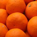＜4月より発送＞家庭用きよみオレンジ4.3kg+129g（傷み補償分）【光センサー食頃出荷】【樹上完熟清見オレンジ・清見タンゴール・清美】【わけあり・訳あり】