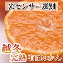 ＜1月中頃より発送＞&nbsp;家庭用&nbsp;越冬完熟みかん&nbsp;5kg+150g（傷み補償分）&nbsp;ハウスみかん&nbsp;訳あり&nbsp;わけあり&nbsp;光センサー選果［IKE191］