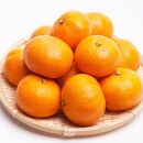 ＜1月中頃より発送＞&nbsp;厳選&nbsp;越冬完熟みかん&nbsp;5kg+150g（傷み補償分）&nbsp;ハウスみかん&nbsp;光センサー選果［IKE194］